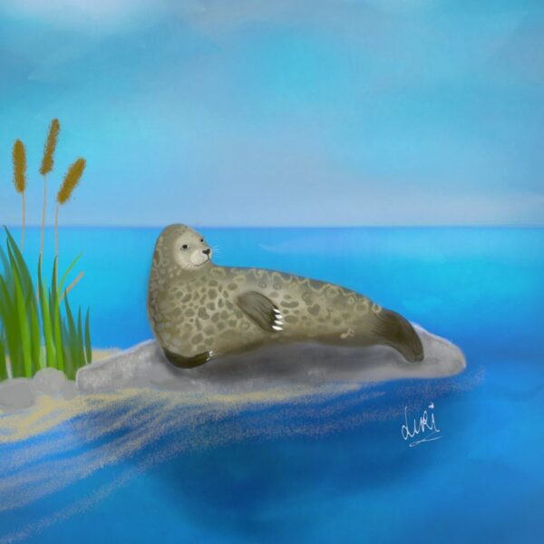 Metsän, veden ja viidakon elämää