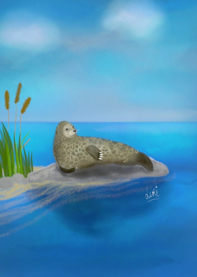 Metsän, veden ja viidakon elämää