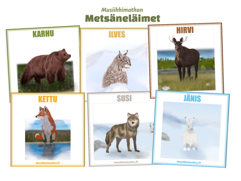 Metsän, veden ja viidakon elämää